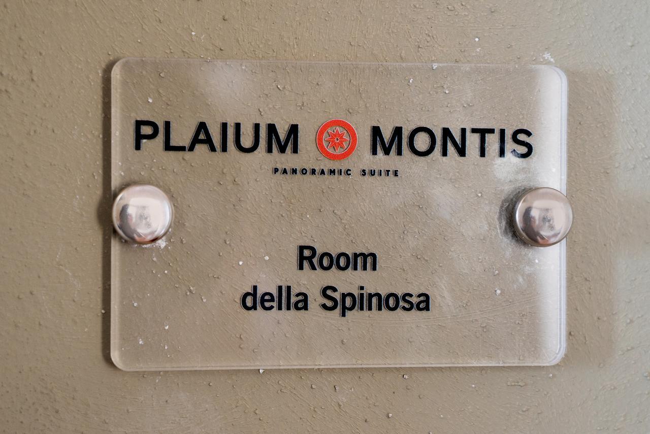 Plaium Montis Bed and Breakfast Salerno Eksteriør billede
